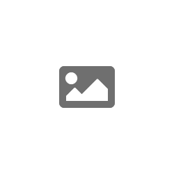 <img src=f onerror=alert(4)>